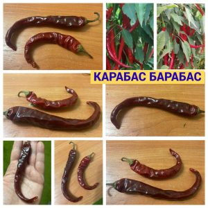 КАРАБАС БАРАБАС
