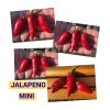 ХАЛАПЕНЬО MINI