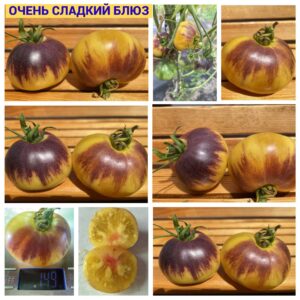 ОЧЕНЬ СЛАДКИЙ БЛЮЗ