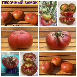ПЕСОЧНЫЙ ЗАМОК