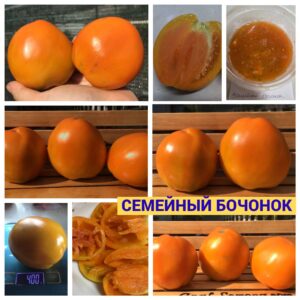 СЕМЕЙНЫЙ БОЧОНОК