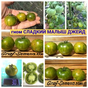 гном СЛАДКИЙ МАЛЫШ ДЖЕЙД