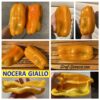 NOСERA GIALLO