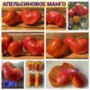 АПЕЛЬСИНОВОЕ МАНГО