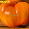 АПЕЛЬСИНОВОЕ МАНГО 14189