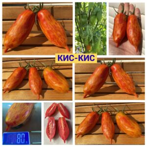 КИС-КИС