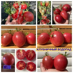 КЛУБНИЧНЫЙ ВОДОПАД