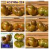 КОЗУЛА 224