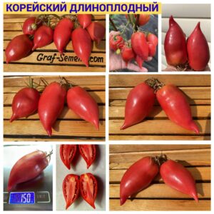 КОРЕЙСКИЙ ДЛИНОПЛОДНЫЙ