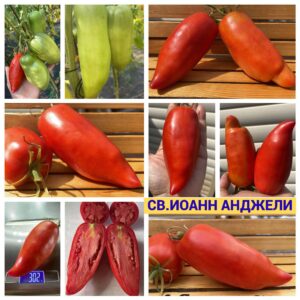 СВ.ИОАНН АНДЖЕЛИ