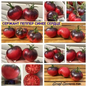 СЕРЖАНТ ПЕППЕР СИНЕЕ СЕРДЦЕ