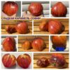 СЛАДКАЯ КАРАМЕЛЬ СОФИИ (Sweet Caramel Sofia) - сладкое утонченное сердце биколор, 5 семян 11539 СЛАДКАЯ КАРАМЕЛЬ СОФИИ 11539
