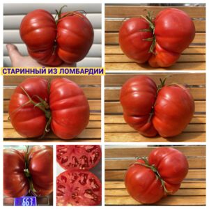 СТАРИННЫЙ ИЗ ЛОМБАРДИИ