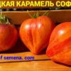 СЛАДКАЯ КАРАМЕЛЬ СОФИИ (Sweet Caramel Sofia) - сладкое утонченное сердце биколор, 5 семян 11541 СЛАДКАЯ КАРАМЕЛЬ СОФИИ 11541