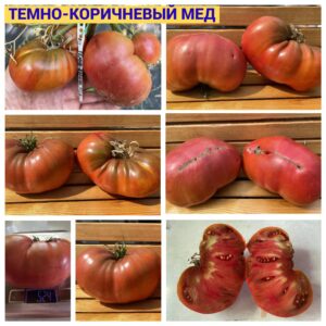 ТЕМНО-КОРИЧНЕВЫЙ МЕД