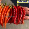 ТАЙСКИЙ ДРАКОН КРАСНЫЙ 14273