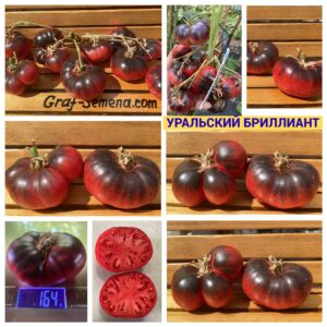 УРАЛЬСКИЙ БРИЛЛИАНТ