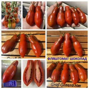 ФЛЯШТОМАТ ШОКОЛАДНЫЙ