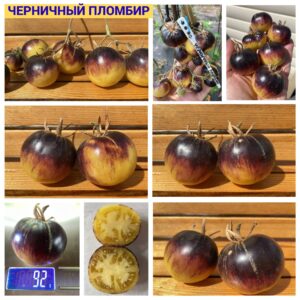 ЧЕРНИЧНЫЙ ПЛОМБИР