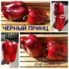 ЧЕРНЫЙ ПРИНЦ 14237