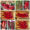 ITALIAN LONG HOT