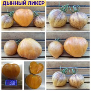 ДЫННЫЙ ЛИКЕР