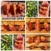 ЗОЛОТОЙ ОРЕХ 9896