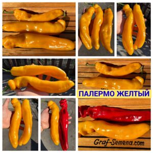ПАЛЕРМО ЖЕЛТЫЙ
