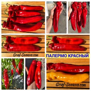 ПАЛЕРМО КРАСНЫЙ