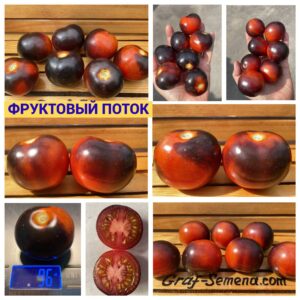 ФРУКТОВЫЙ ПОТОК