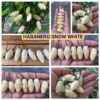 ХАБАНЕРО БЕЛЫЙ СНЕГ
