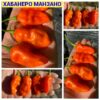 ХАБАНЕРО МАНЗАНО