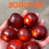ГОРДЕЙ ГОЛД 13812