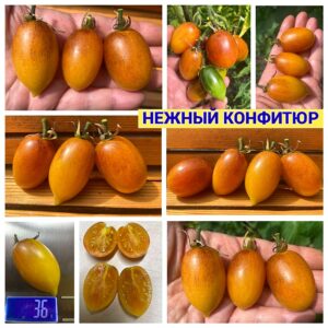 НЕЖНЫЙ КОНФИТЮР