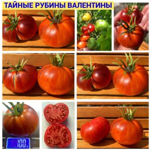 ТАЙНЫЕ РУБИНЫ ВАЛЕНТИНЫ