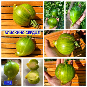 АЛИСКИНО СЕРДЦЕ
