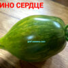 АЛИСКИНО СЕРДЦЕ (ALISKINO SERDTSE) - зеленое сердце, 3 семян 12103 АЛИСКИНО СЕРДЦЕ 12103