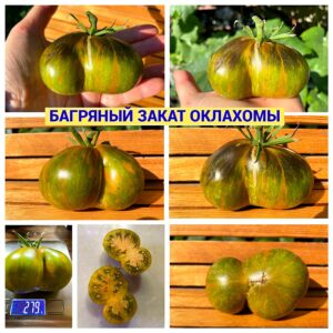 БАГРЯНЫЙ ЗАКАТ ОКЛАХОМЫ
