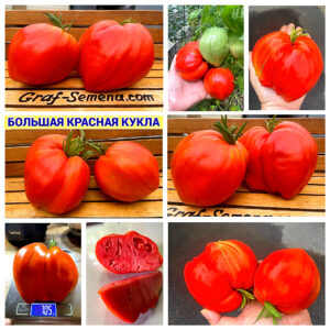 БОЛЬШАЯ КРАСНАЯ КУКЛА