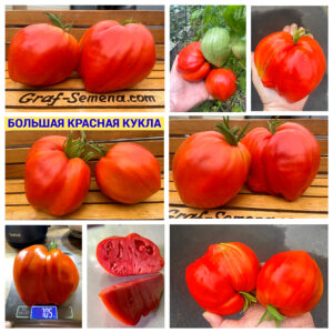БОЛЬШАЯ КРАСНАЯ КУКЛА