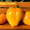 БЕЛОЕ СЕРДЦЕ СОФИИ (WHITE HEART OF SOFIA) - желтое сердце, 5 семян 12060 БЕЛОЕ СЕРДЦЕ СОФИИ 12060