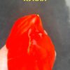 БОЛЬШАЯ КРАСНАЯ КУКЛА (BIG RED DOLLy) - крупное красное сердце-гребень, 5 семян 12378 БОЛЬШАЯ КРАСНАЯ КУКЛА 12378