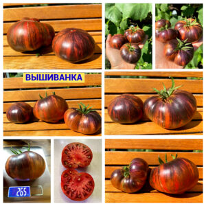 ВЫШИВАНКА
