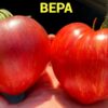 ВЕРА (ВELIEF) - малиновое сладкое сердце, антоциан, 5 семян 11783 ВЕРА 11783