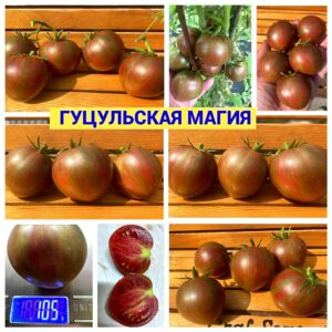 ГУЦУЛЬСКАЯ МАГИЯ