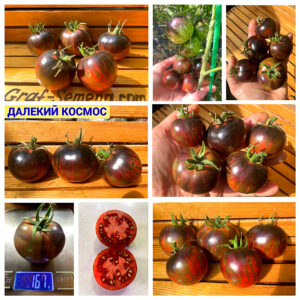ДАЛЕКИЙ КОСМОС