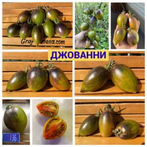 ДЖОВАННИ