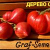 ДЕРЕВО СЕРДЕЦ (TREE OF HEARTS) - утонченное малиновое сердце, 5 семян 11557 ДЕРЕВО СЕРДЕЦ 11557