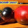 ДНЕПРОВСКИЙ ЗАКАТ 12314