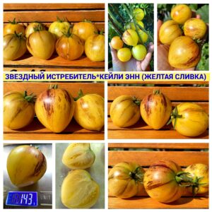 ЗВЕЗДНЫЙ ИСТРЕБИТЕЛЬ х КЕЙЛИ ЭНН ЖЕЛТЫЙ